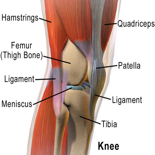 x-ray-joint